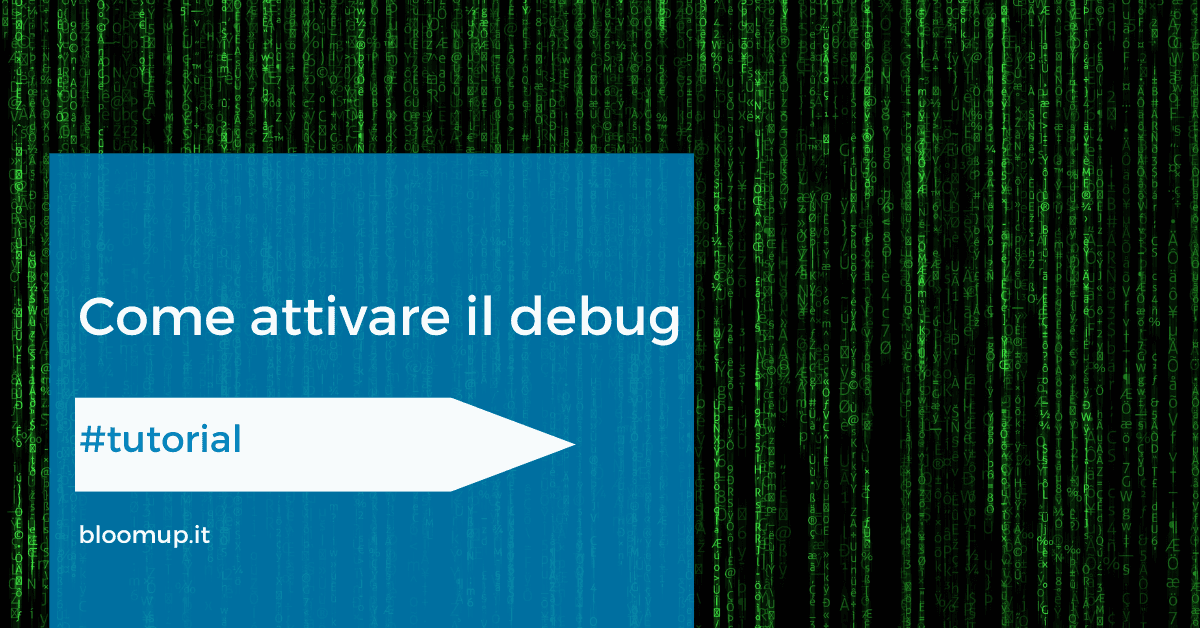 Come usare la modalità sviluppatore in Odoo